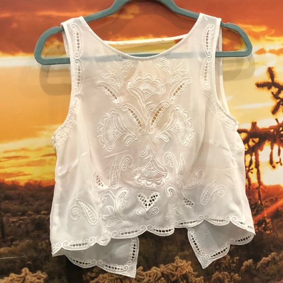 Brandy Melville Tops - Sheer brandy backless top
